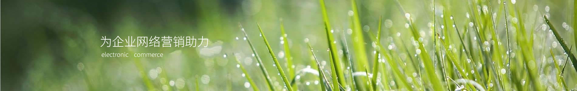ӱԶƼݣ޹˾